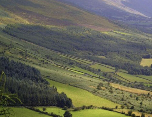 Summer walking festival – Mt Leinster – Friday 27th – Sunday 29th May